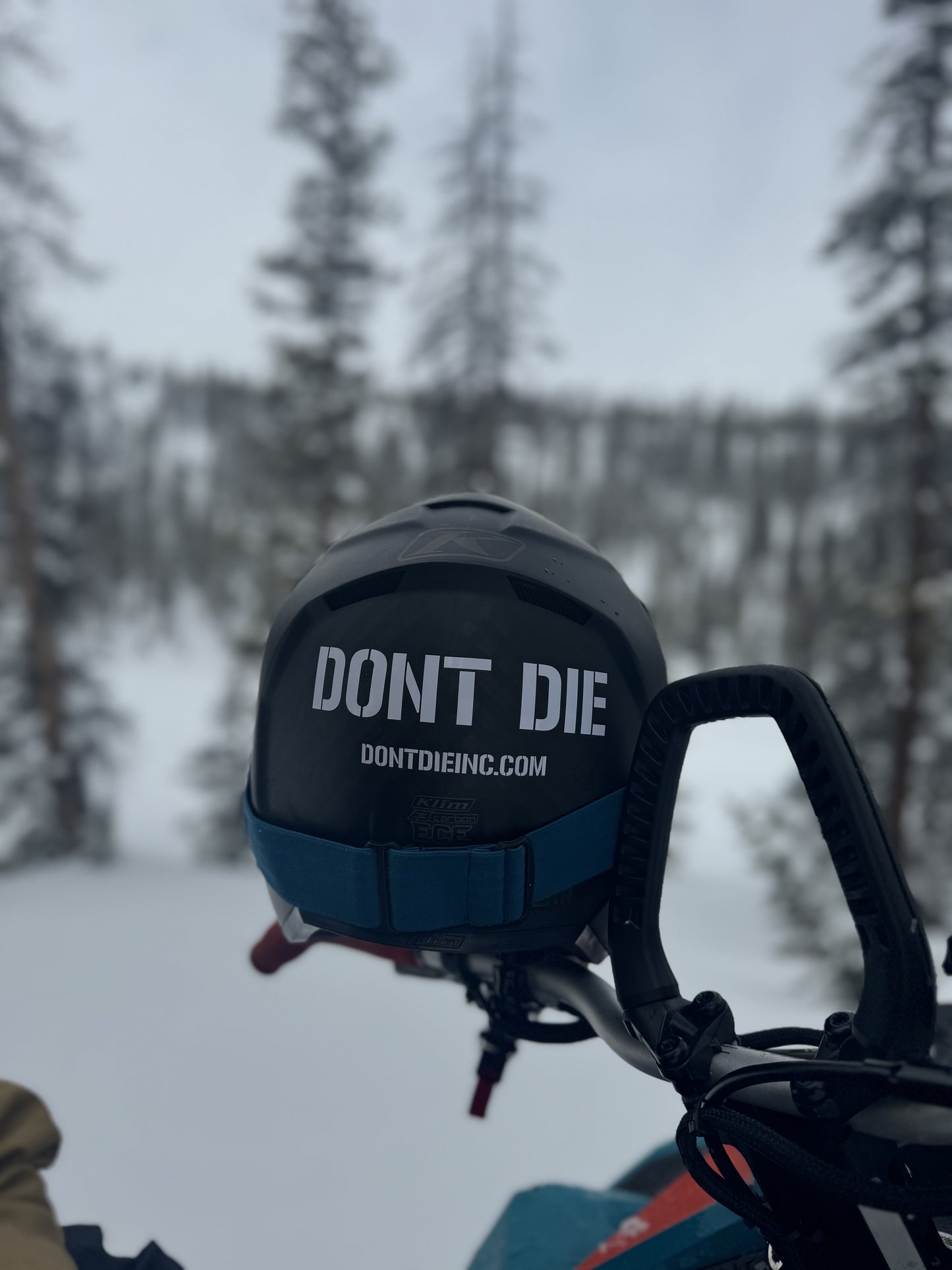 Dont Die Transfer Sticker